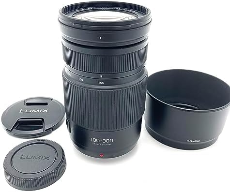 レンズ 100-300」の人気商品一覧 | 安い商品を通販サイトから探す