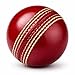SG Cricket Shield 20 Premium Leather Ball | Red | Adult | Leather | Waterproof | Solid Grade 2 Core | Machine Stitched | Ideal for Club & School Matches | Pack of 1