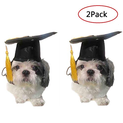 CheeseandU 2Pack Pet Grad Hat Pet Black Graduation Hat with Yellow Tassel Pet