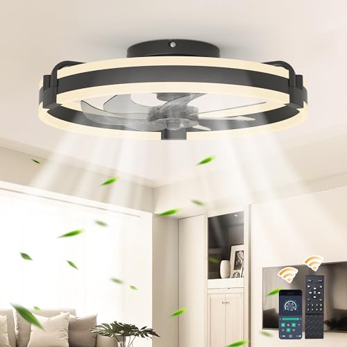 Image of Garwarm 20 inch Ceiling Fans with Lights and Remote, Low Profile Black Fan