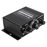 L'amplificatore HiFi offre prestazioni eccezionali per sistemi audio privati e professionali