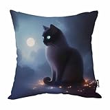 Mugod Warrior Cat Throw Pillow Cover Fantasy Sky Cloud Sun Grey Cat Mystical Space Light Decorative Pillow Cases Square Cotton Linen Cushion Cover for Home Bed Sofa Couch 18x18 Inch