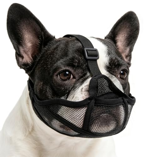FIGCY Museruola per Bulldog Francese, Mascherina Muso Corto in Rete Morbida Traspirante per Carlino Shih Tzu, Regolabile, Permette di Ansante e Bere, Nero Taglia XS