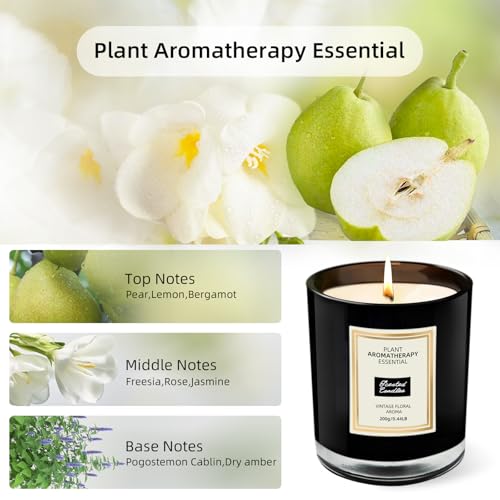 Candlesforhomescentedfestivalscentedcandlesperfectforgifting044lbfreesia  Urban Country Home Decor Candles for home scented festival scented candles perfect for gifting 044 lb freesia  urban country home decor