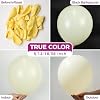 Bezente Pastel Yellow Latex Party Balloons - 100 Pack 12 inch Round Helium Light Yellow Balloons for Easter Birthday Bridal Shower Wedding Sunflower Party Decorations #1