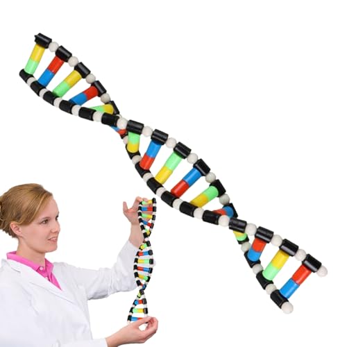 Modelo Helix Gene   Modelo Dńa 40 cm | Kit científico ABS con estructura de doble hélice | Pantalla de aprendizaje sostenible de educativo | Regalo de estudio en clase de biología para y ADU