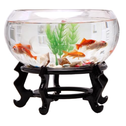 hybmszj  ی^ KX  e[u ANAE {E ϗtA e  CeA e IuWF eE ԕr   _J  eE Y y  킢 CeA (25cm,xA^