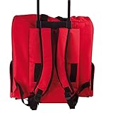 Ce sac 2 en 1 vous permettra de voyager partout avec votre animal.