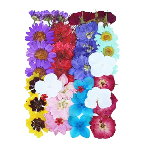 36 piezas de flores secas prensadas para manualidades y decoración miniatura 1