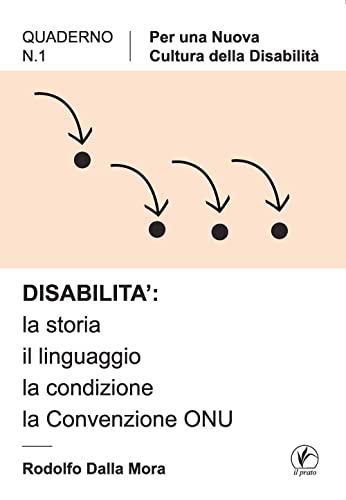 Disabilità: La Storia, Il Linguaggio, La Condizione, La Convenzione Onu
