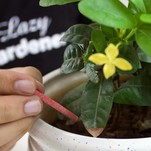 Image of Lazy Gardener Bloomstix Organic Fertilizer Sticks | Bloom Booster & Slow-Release Plant Food for Flowering Plants & Home Garden (Pack of 100)