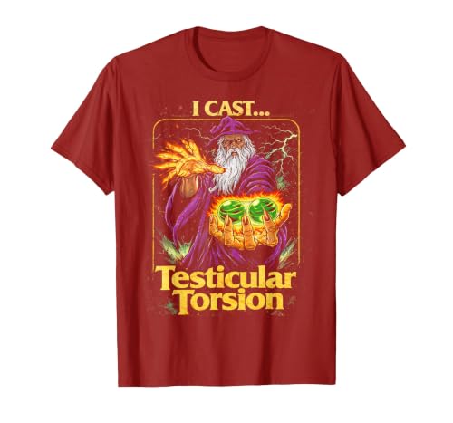 I Cast Testicular Torsion Funny Wizard Meme T-Shirt, Men, Cranberry Red, 3X-Large