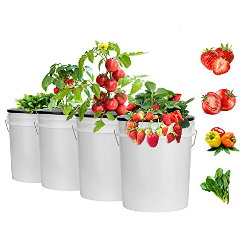 Tectsia 6 Inch Net Pots for 5 Gallon Bucket Wide Lids (5 Pack), Net Cups for Hydroponics Bucket Lids, BPA-Free, DWC Basket Lids for 5 and 3.5 Gallon Bucket - Image 3