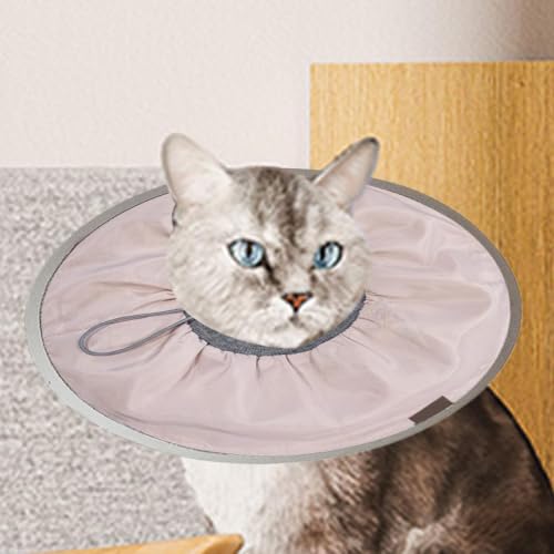 Cono de gato suave para evitar lamidos en cachorros convalecientes 4