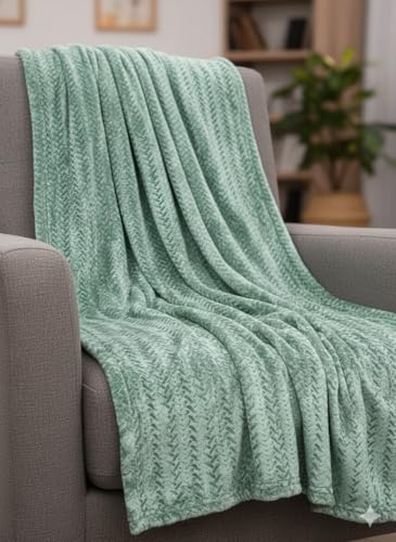 Image of Florida Solid Embossed Flannel Blanket, 230 GSM Ultra-Soft All-Season AC Blanket (Double, Green)
