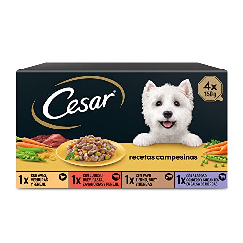 Cesar Nassfutter für Hunde, Auswahl bäuerliche Rezepte in Sauce, Multipack (6 x 4 Becher x 150 g)