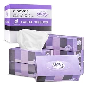 Facial Tissues, 2 Ply White –...