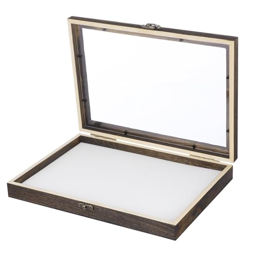 JEWEDECO Vitrina de Madera para Insectos con...