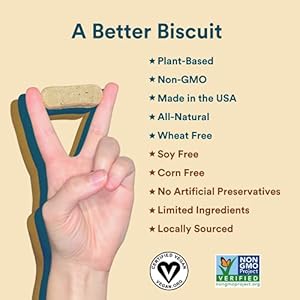Benefit Biscuits, All Natural Dog Treats, Certified Vegan, Non GMO, Wheat Free, Healthy Dog Biscuits, Made in USA (Mint, Regular Bag, 7oz)