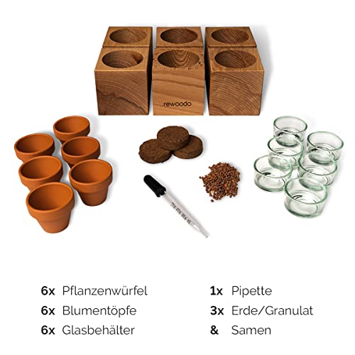 rewoodo Pflanztöpfe - Indoor Garten Anzuchtsystem Mini-Gewächshaus Tischdeko Schreibtisch(6er Set, Pflanztöpfe) - Image 3