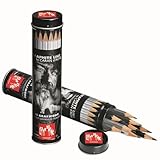 Caran Dache Graphite Line metal cylinder with 15 assorted graded pencils (9B-4H)