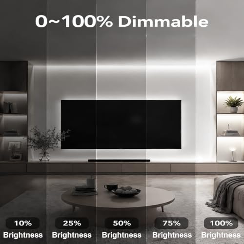 Image of iNextStation 32.8FT Neon LED Light Strip 6500K White with Dimmer and Plug