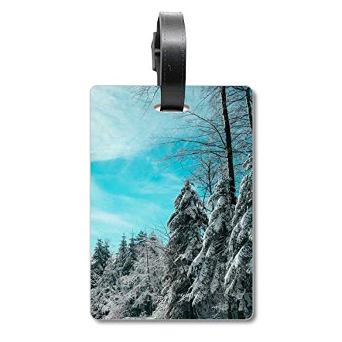 Étiquette de valise bleu ciel pour bagage cabine et voyage