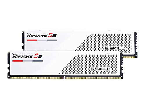 Amazon.co.jp: G.Skill Ripjaws S5 module de mémoire 32 Go 2 x 16 Go