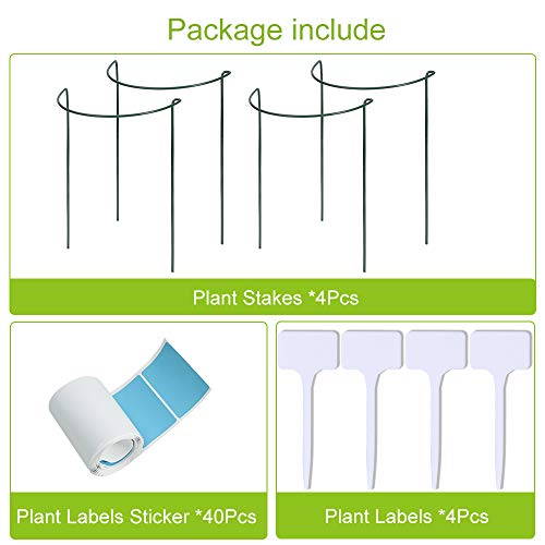 IPSXP Plant Support Stake, 4-Pack Half Round Metal Garden Plant Supports, Green Garden Plant Support Ring, Garden Border Supports, Plant Support Ring Cage for Tomato, Roses, Hydrangea, Flowers Vine - Thumbnail 5