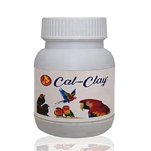 Pet Care International (PCI) Cal-Clay to Help Detoxify The Body Absorption for Healthy Bird Digestive System Healthcare (100grm) (Pack of 2)