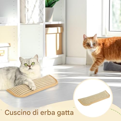 Catnip Spielzeug - Reines Bio-Spielzeug, Stressbeanspruchtes Komfortkissen | Natürlich zieht und beruhigt Katzen an, fördert das Spiel, fördert aktives Training, befriedigt die geistigen
