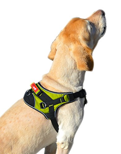 Peak Pooch - Heavy Duty, Reflective, Lightweight, Padded, No-Pull, Pet Dog Harness, Rip Stop Nylon, Tough Stainless Steel Hardware, ideal for Walking, Running, Outdoor, for Small, Medium, Large Dogs