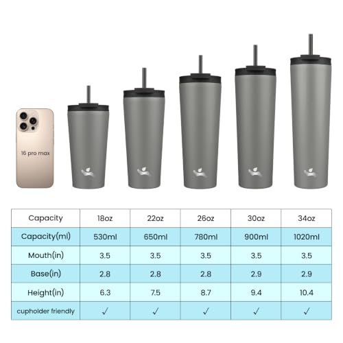 Image of Konokyo 22 oz Insulated Tumbler Water Bottle with Straw Lid, Gray
