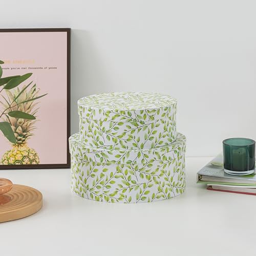 Soul & Lane Decorative Cardboard Storage Boxes With Lids, Lovely Leaves thumb #1