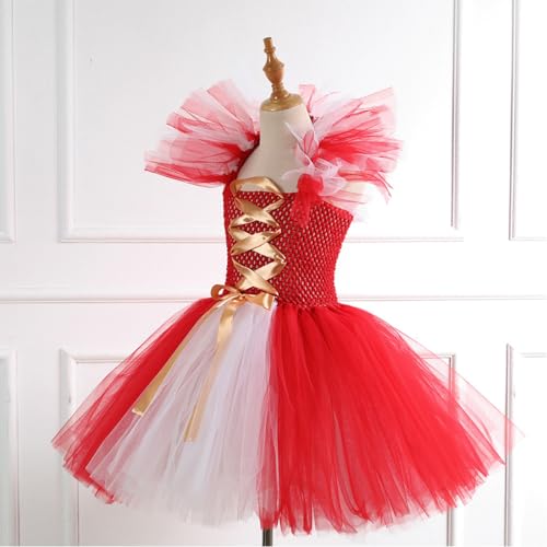 Robe de danse classique et tutu de ballet rose pour filles