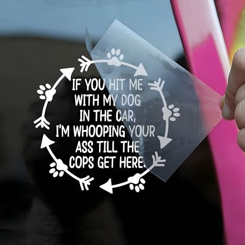 If You Hit Me with My Dog in The Car Car Decal Funny Paw, Dog Mom, Love Animals Joke Humor Car Windows Trucks Accessories Affirmations Vinyl Waterproof 6 Inches Bumper Sticker Gift for Friend Mom