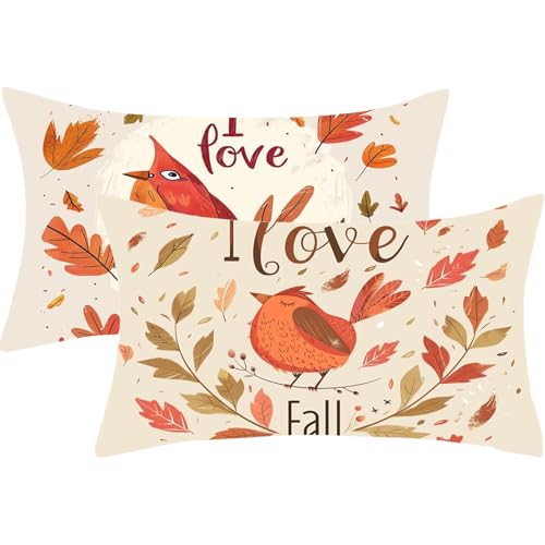 Cuscini per Divano Esterno Giardino Autunno Cuscino 40x60 Set di 2 Pianta Cuscini Decorativi Moderno Rettangolo Velluto Copricuscini Divano per Giardino Balcone Decorazioni Autunnali,Regalo Donna,J605