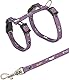 Trixie 4144 Kätzchengeschirr mit Leine, Nylon, 21–33 cm/8 mm, 1,20 m, farblich sortiert,1 Stück