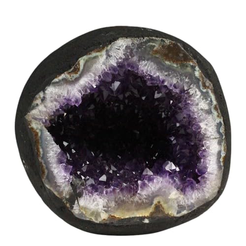 yVR΁z2.2Kg AWXgh[ EOACY 174-2065