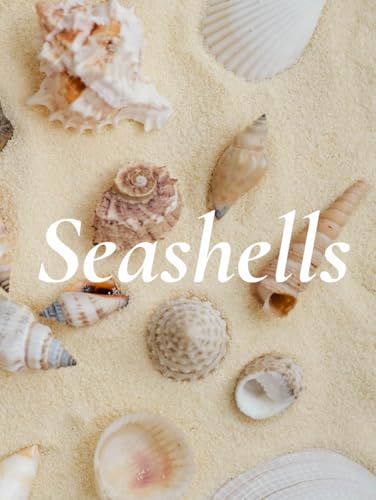 Seashells: A Decorative Book with Seashell Cover for Coffee Table Styling and Coastal Home Décor