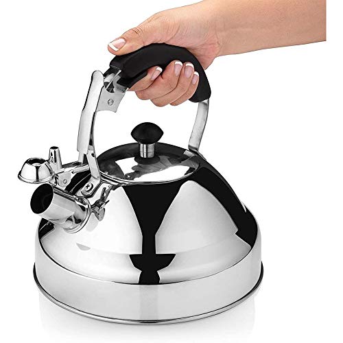 Bouilloire pour une cuisson plus rapide théière en acier inoxydable sifflet