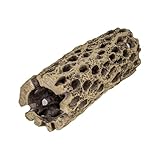 ANTCUBE Deko Kaktus Vuka 15x5cm