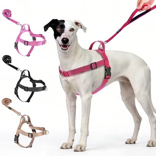 Annchwool No Pull Dog Harness with Front Clip and Easy Control Handle-Belly & Chest Adjustable Dog Harness and Leash Set for Medium Large Dogs-Heavy Duty Vest Harnesses Easy for Walking(Red,L)