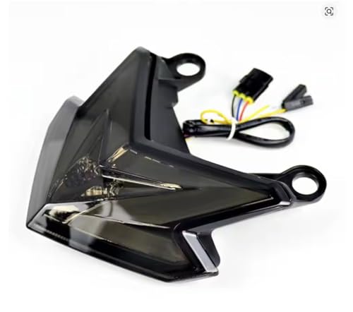 Feu arrière moto fumé pour remplacer un bloc optique cassé sur Kawasaki