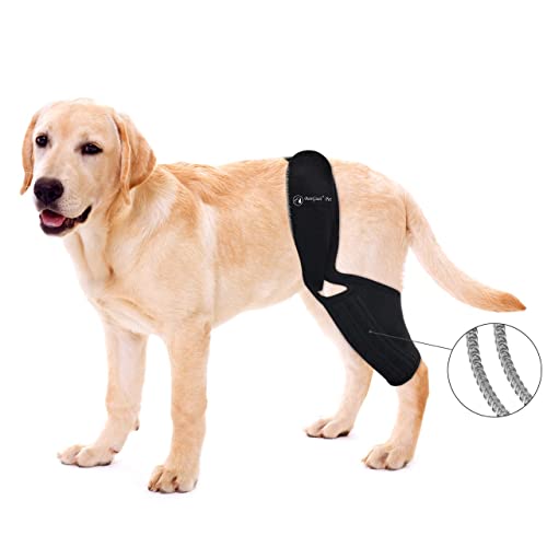 The Best brace for dog acl tear For 2022 licorize
