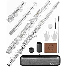 Leo Jaymz Closed Hole 16 Keys C Flute for Beginner Student, Instrument with Cleaning Kit, Case, Gloves, Silver Plated