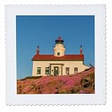 Square dimensions (in inches): 12 L x 12 W, image dimensions (in inches): 10 L x 10 W 100% poloyester; image is soft to touch. Made in USA Edges have pinking shear cut Image will not fade with washing. Image not a transfer, part of material