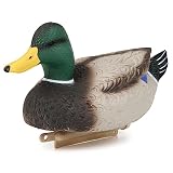 Volein Foldable Duck Decoy for Hunting, Portable Floating Mallard Decoys (Mallard)