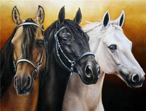 Kit complet broderie diamant cheval 80x110cm idéal pour offrir un cadeau créatif