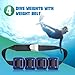 Tellegloww 4 Pcs Dive Weights Belt for Scuba Diving Coated Dive Weights Nylon Dives Belt with 1 Metal Quick Release Buckle for Free Diving Spear Fishing(2.2 lb,Black)